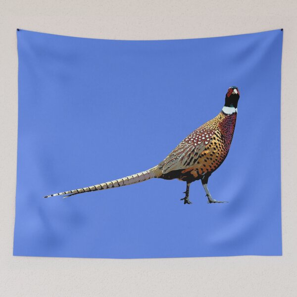 Item preview, Pheasant Color Print  designed and sold by designsasstultd.