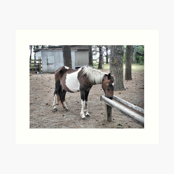 Item preview, Pony Up to the Bar designed and sold by Monnie Ryan.