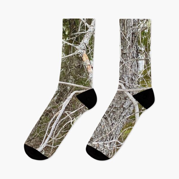 Item preview, Old Trees in the Forest designed and sold by Judydcreates.