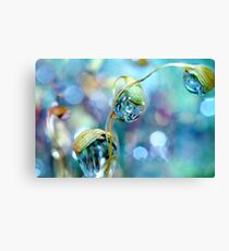 Rainbow Moss Drops Canvas Print