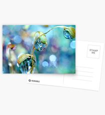 Rainbow Moss Drops Postcards