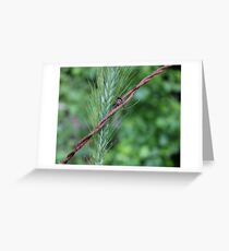 Submission Greeting Card