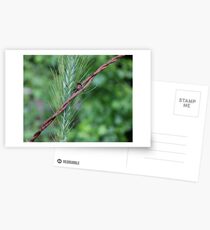 Submission Postcards