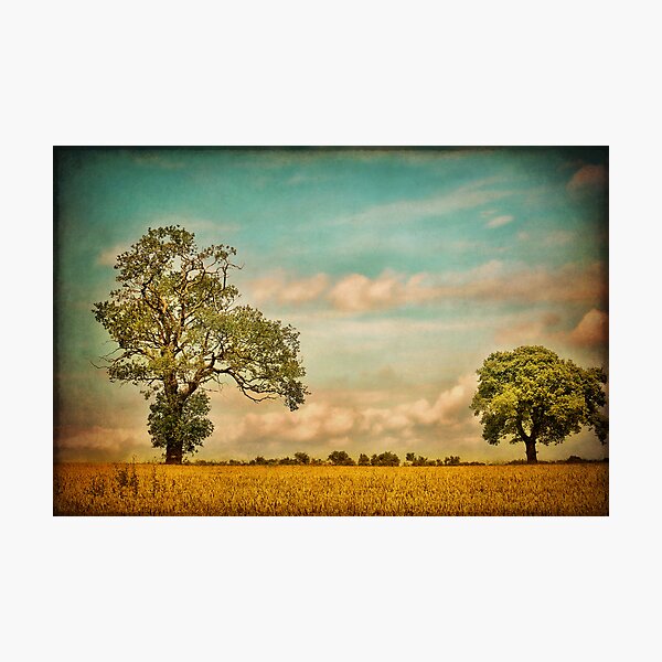 Item preview, Farmland designed and sold by SharonJ.