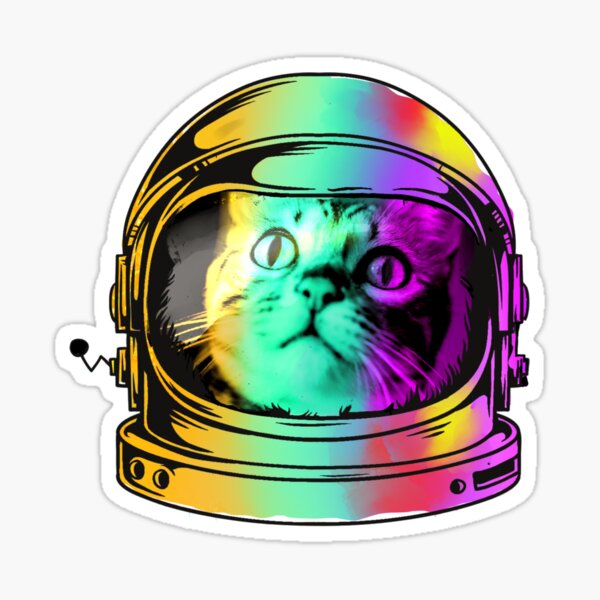 Space cat - Rainbow cat Sticker