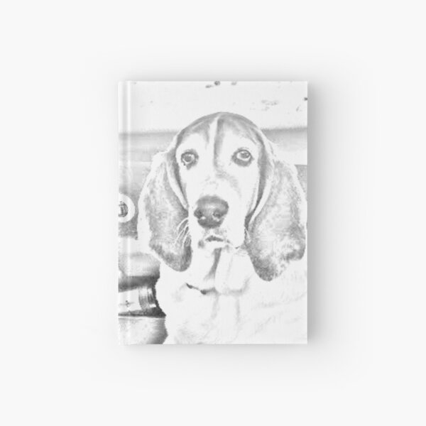 24 mini cuadernos con temática de perro, recuerdos de fiesta de cachorros,  cuadernos de bolsillo en espiral, cuadernos de bolsillo en espiral