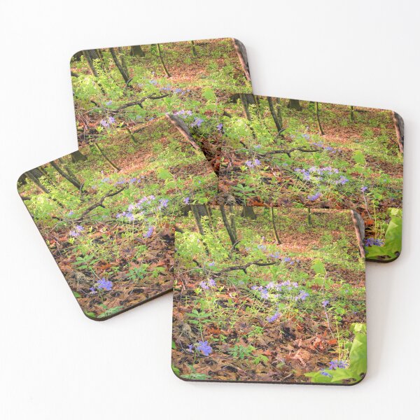 Item preview, Wild Phlox In Mann Wilderness designed and sold by LynyrdSky.
