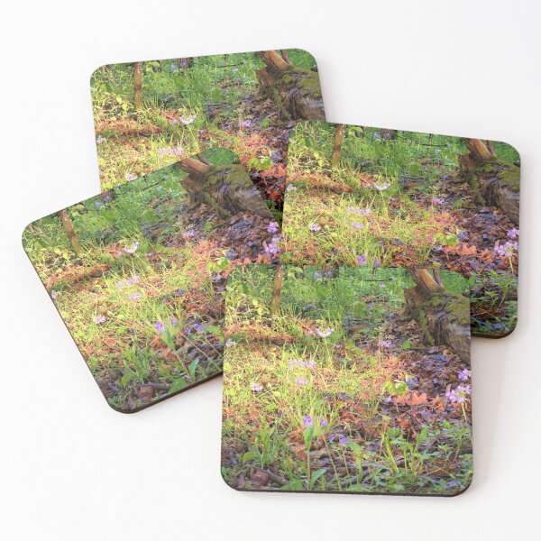 Item preview, Phlox In Mann Wilderness designed and sold by LynyrdSky.