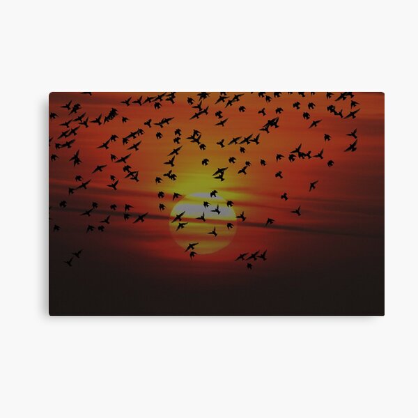Item preview, Sunset Starlings designed and sold by Steve Adams.