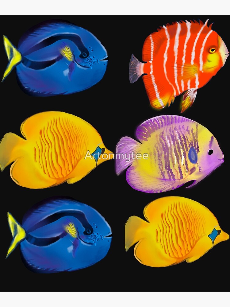 Best fishing gifts for fish lovers 2022. Coral reef fish 3 Nautical |  Photographic Print