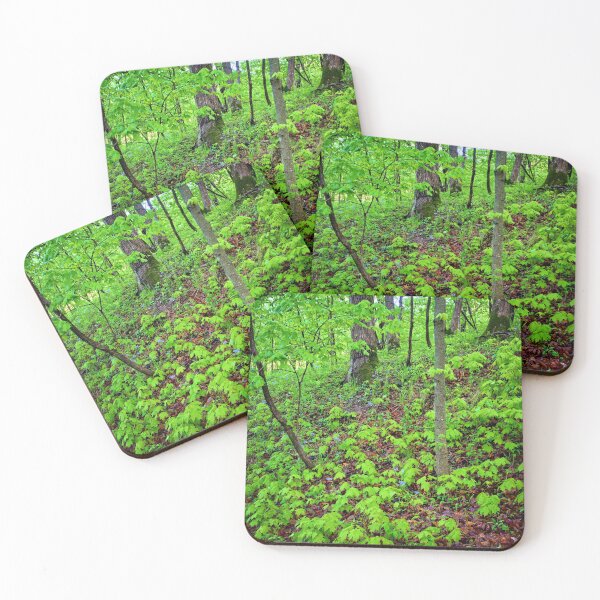 Item preview, Mann Wilderness Area designed and sold by LynyrdSky.
