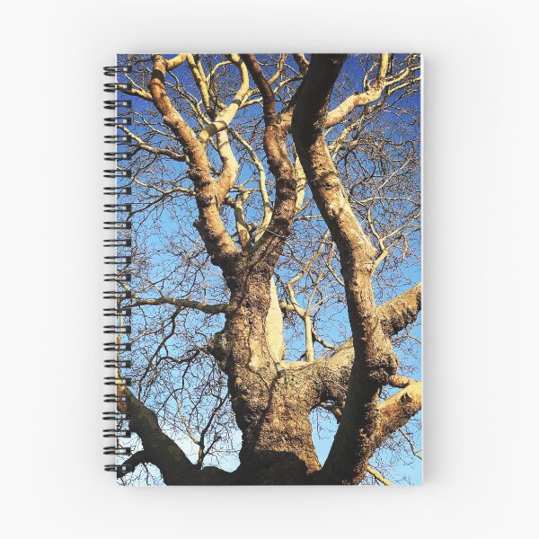 Item preview, Tree designed and sold by nloooo.