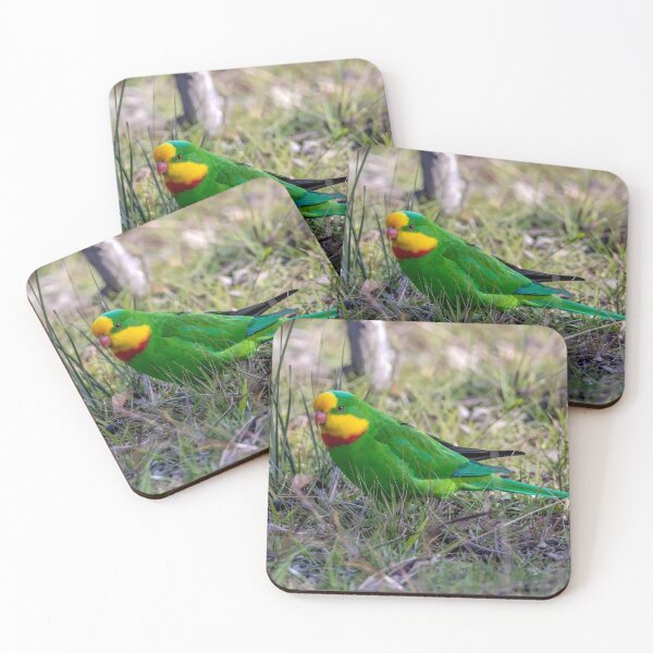 Item preview, Superb Parrot designed and sold by Luke Foster.