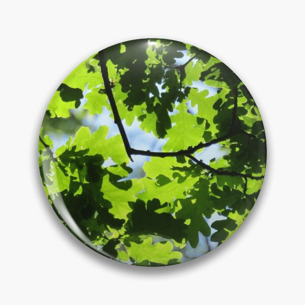 Item preview, Sunlit oak leaves. designed and sold by joshuarainbird.