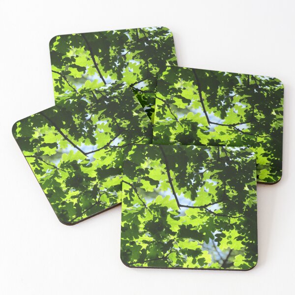 Item preview, Sunlit oak leaves. designed and sold by joshuarainbird.