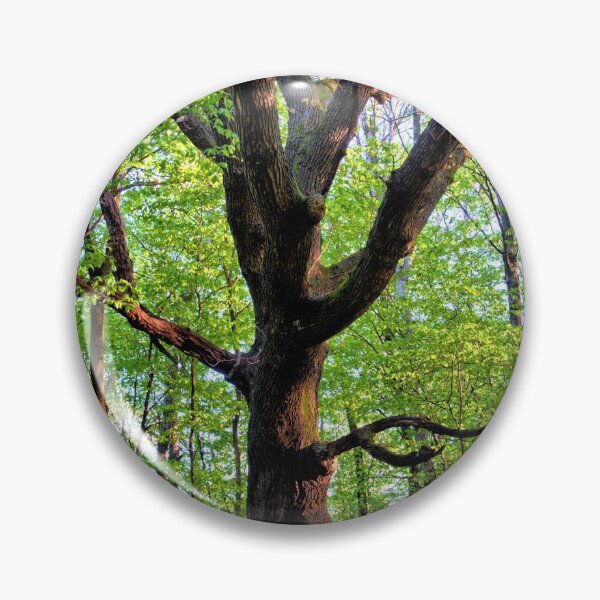 Item preview, A Mighty Oak designed and sold by LynyrdSky.