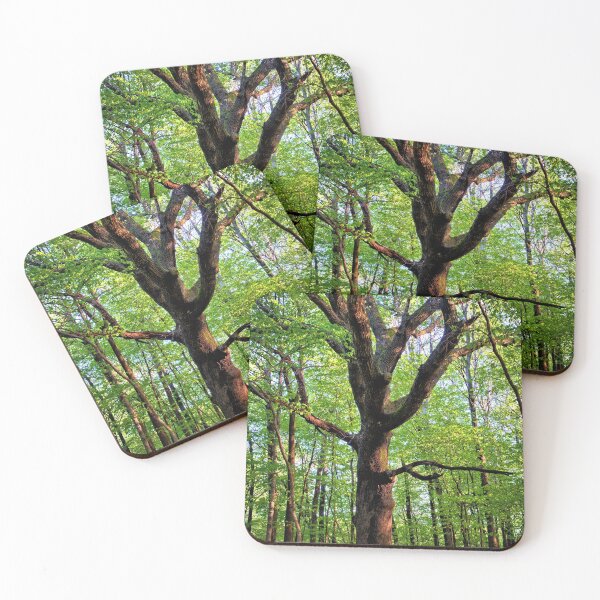 Item preview, A Mighty Oak designed and sold by LynyrdSky.