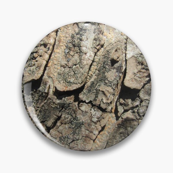 Item preview, Gnarly tree bark designed and sold by joshuarainbird.