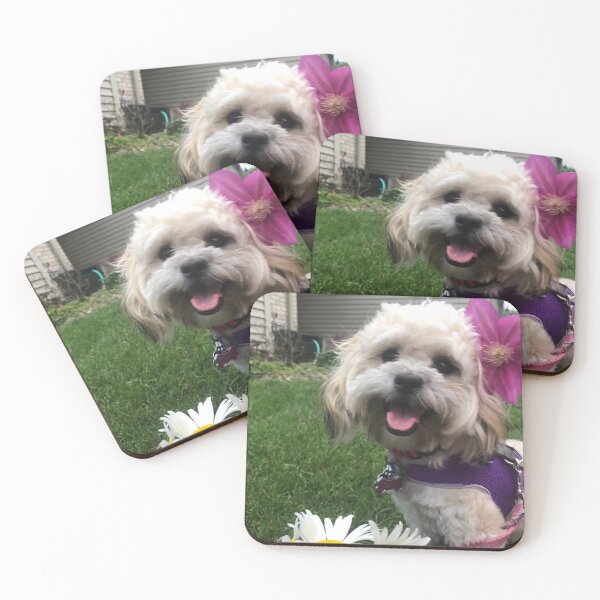 Item preview, Spring Puppy  designed and sold by Lindsey Fletcher.
