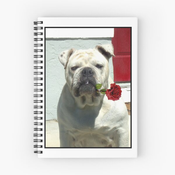 Item preview, White bulldog with a rose designed and sold by ritmoboxers.