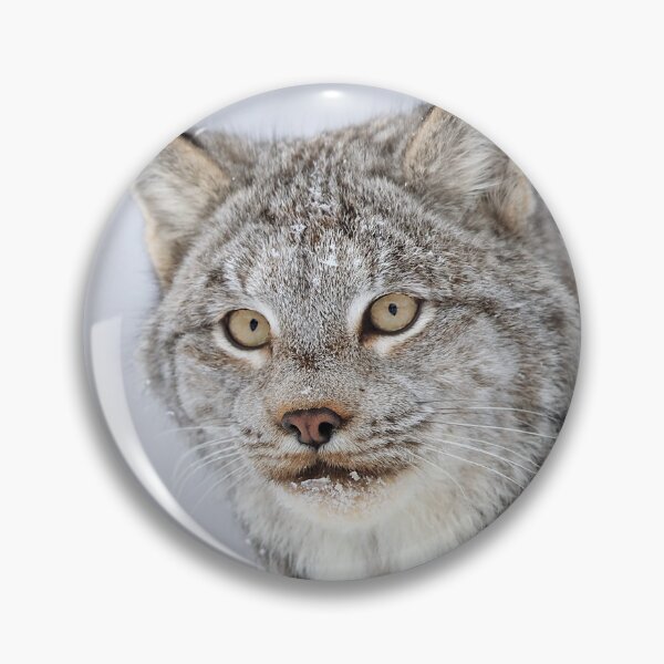 Item preview, Canada Lynx designed and sold by mlorenz.