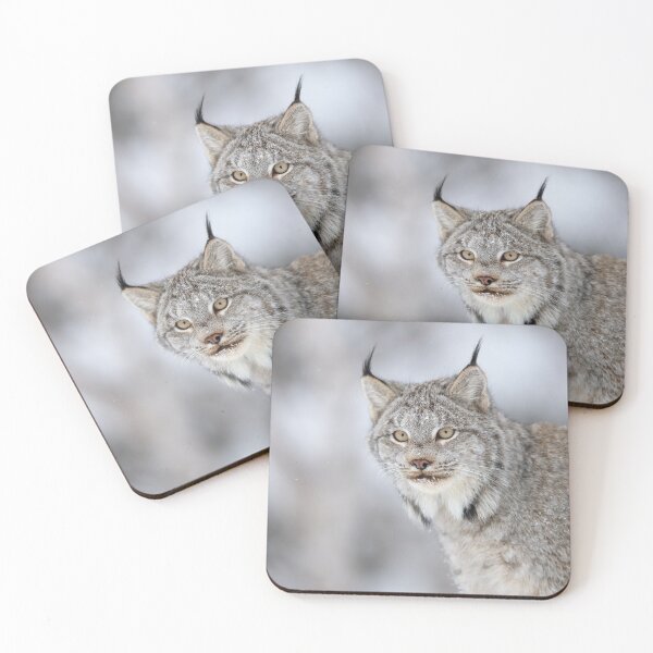 Item preview, Canada Lynx designed and sold by mlorenz.
