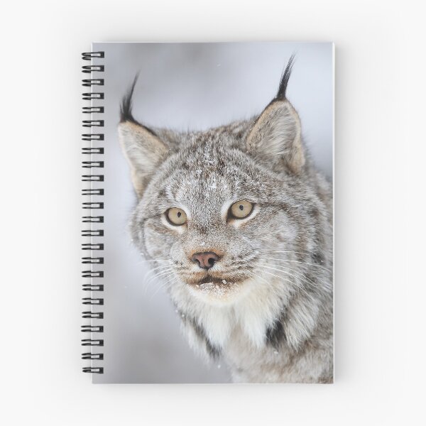 Item preview, Canada Lynx designed and sold by mlorenz.