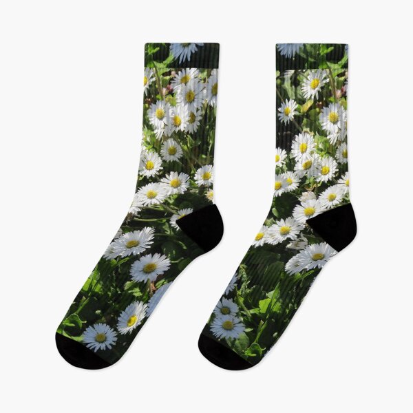 Item preview, Daisies in a meadow designed and sold by joshuarainbird.