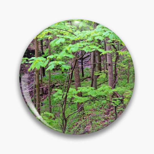 Item preview, Maple Sapling designed and sold by LynyrdSky.