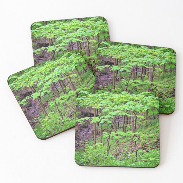 Item preview, Maple Sapling designed and sold by LynyrdSky.