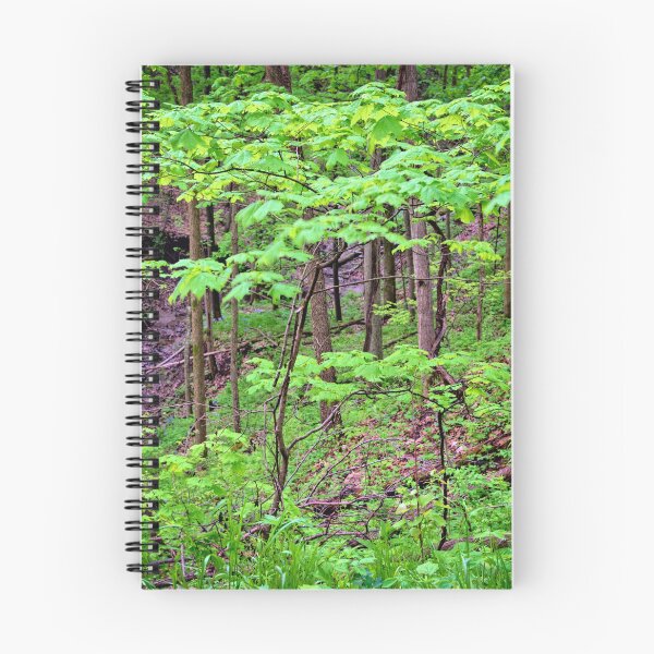 Item preview, Maple Sapling designed and sold by LynyrdSky.