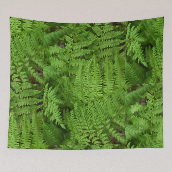 Item preview, Fern Leaves designed and sold by ChristaJoGlass.