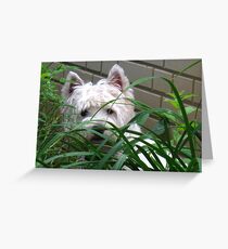 The Brodinator Greeting Card