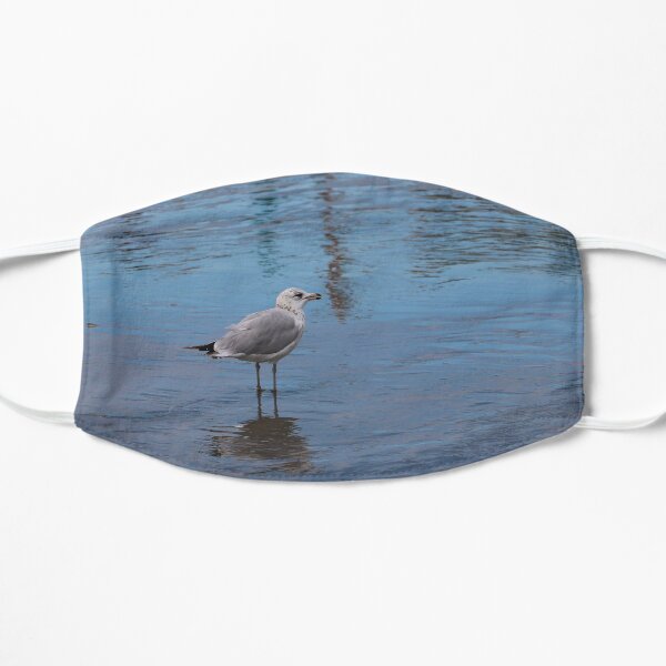 Seagull Exploring Flat Mask