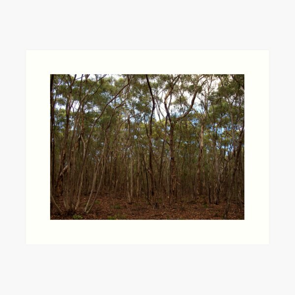 Item preview, Gumtrees Galore designed and sold by Christina Backus.