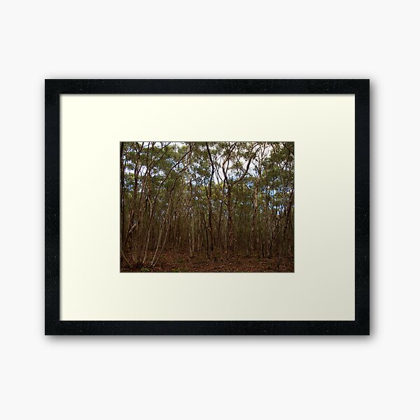 Item preview, Gumtrees Galore designed and sold by Christina Backus.