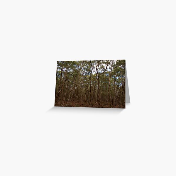 Item preview, Gumtrees Galore designed and sold by Christina Backus.