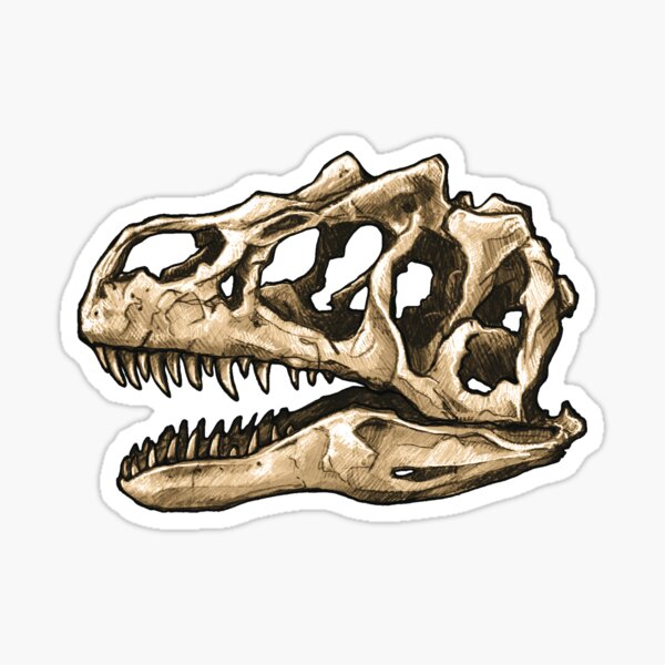 Dinosaur Skull Allosaurus Sticker Sticker