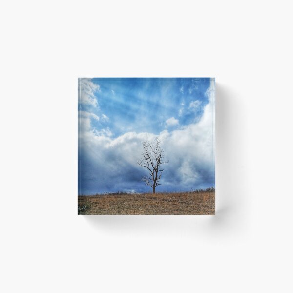 Item preview, Lone tree by Natural Bridge designed and sold by ChatStroh.