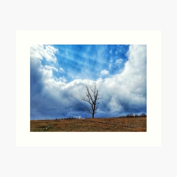 Item preview, Lone tree by Natural Bridge designed and sold by ChatStroh.