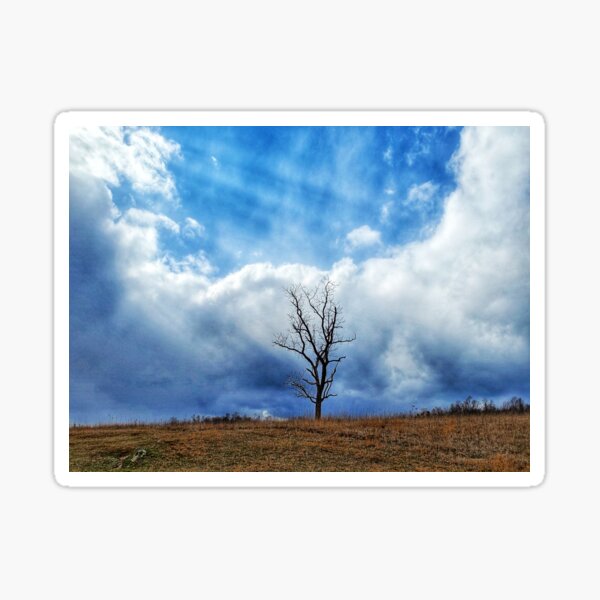 Item preview, Lone tree by Natural Bridge designed and sold by ChatStroh.