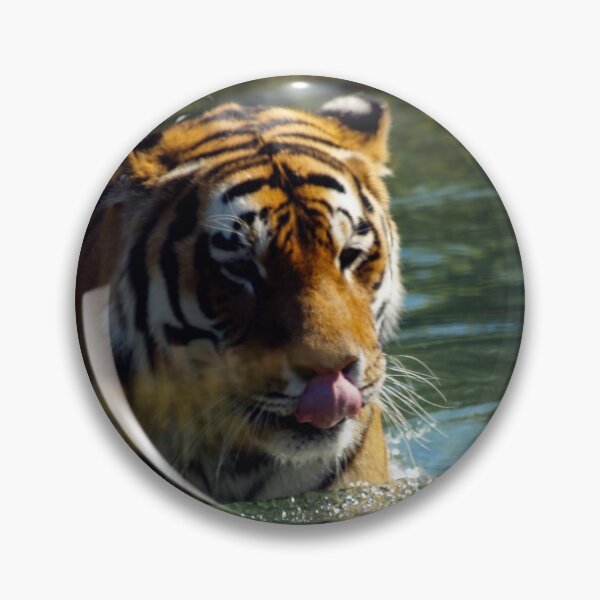 Item preview, warm tiger designed and sold by Cheryl Dunning.