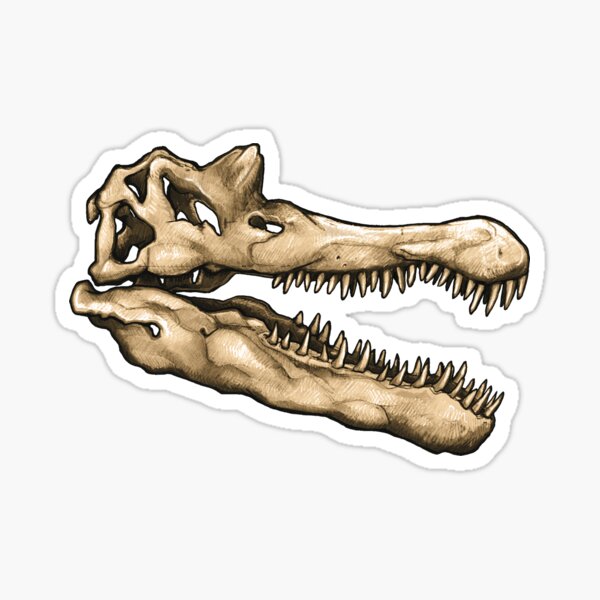 Item preview, Dinosaur Skull Spinosaurus Sticker designed and sold by CassWArt.