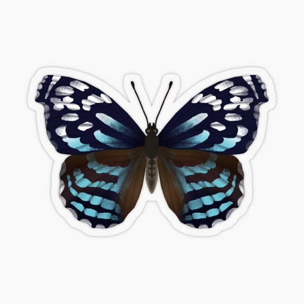 Butterflies of North America Transparent Sticker