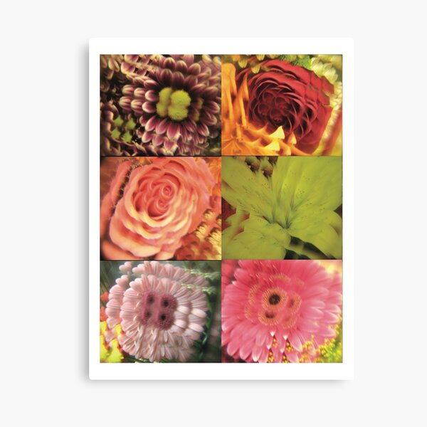 K Flowers pg 2 Canvas Print