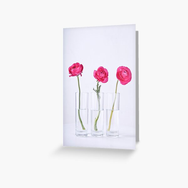 Item preview, 359 - 365  designed and sold by Nina  Matthews Photography.