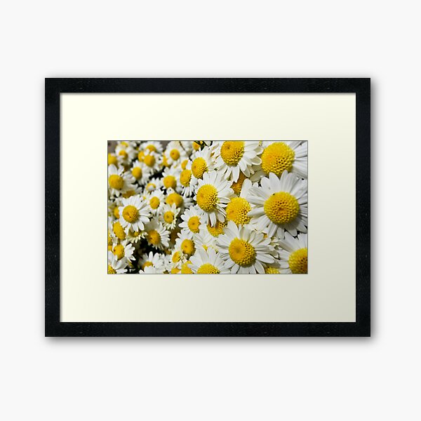 Item preview, Colourful 237 - 365  designed and sold by Nina  Matthews Photography.