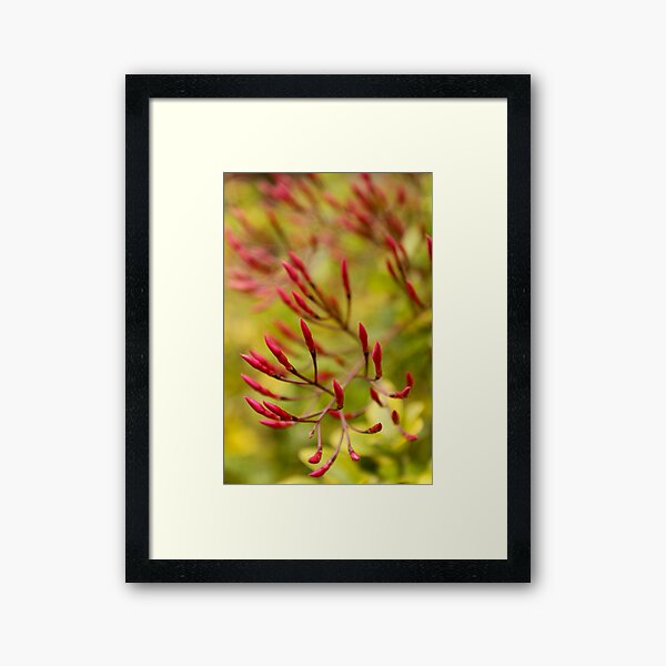 Item preview, Day 350  - 365 ........ designed and sold by Nina  Matthews Photography.