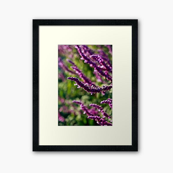 Item preview, Day 259 - 365 Flowers  designed and sold by Nina  Matthews Photography.