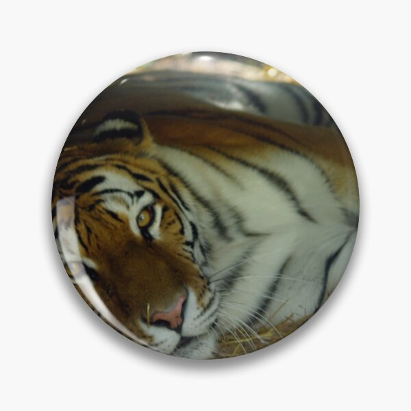 Item preview, lounging cat designed and sold by Cheryl Dunning.
